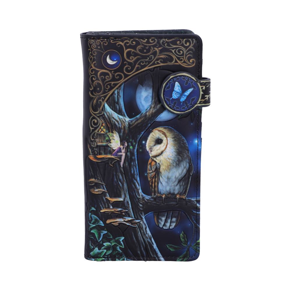 Nemesis Now B4864P9 Lisa Parker Fairy and Owl Purse 18.5cm, PU, Black, One Size