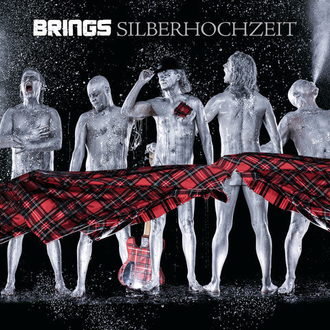 Silberhochzeit: Best Of [Audio CD]