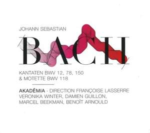 JS Bach - Cantatas & Motet [Audio CD]