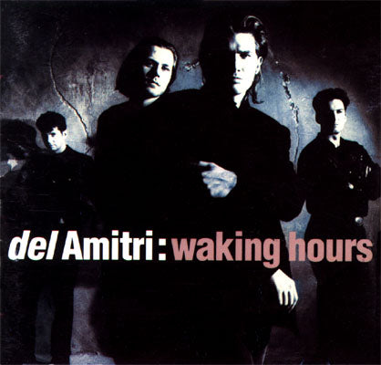 Del Amitri - Waking Hours [Audio-CD]