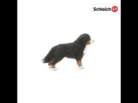 Schleich 16397 Bouvier Bernois, Femelle