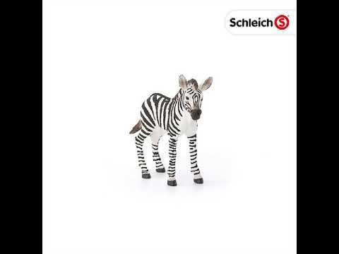 Schleich 14811 puledro di zebra