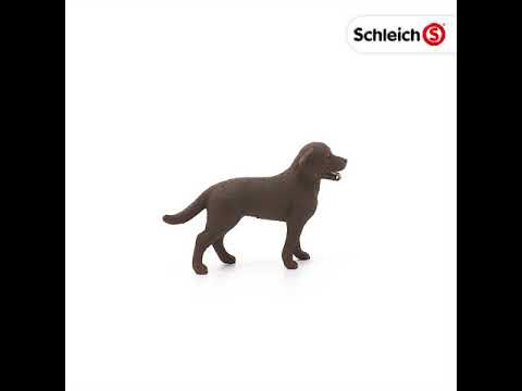 Schleich 13834 Labrador Retriever Hembra