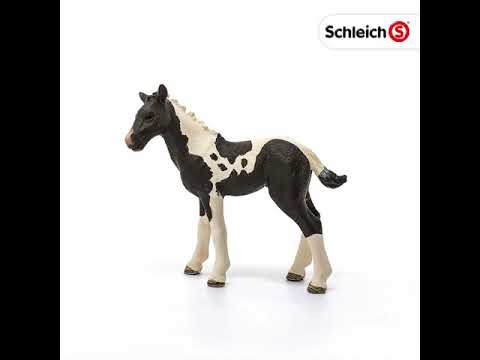 Schleich 13803 Pinto Puledro