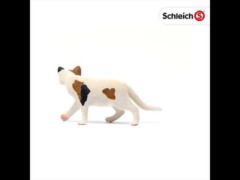 Schleich 13894 Chat Américain à poils courts - Le monde de la ferme