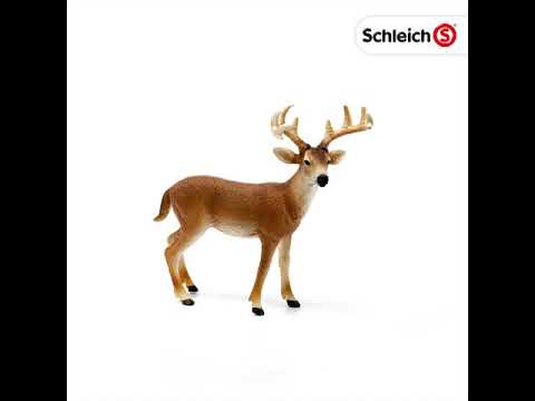 Schleich 14818 cervo dalla coda bianca