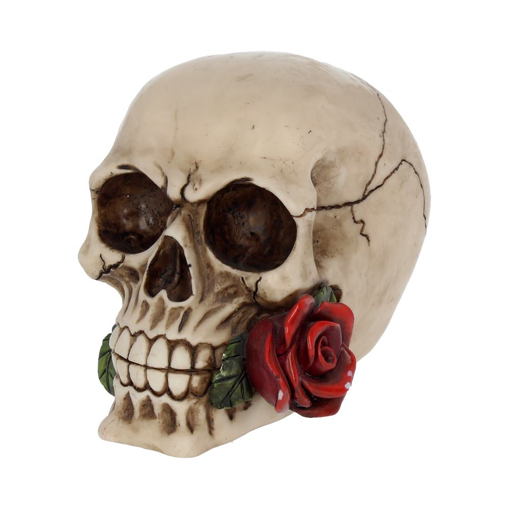 Nemesis Now NEM3721 Rose From the Dead Figur, 13,5 cm, Elfenbeinfarben