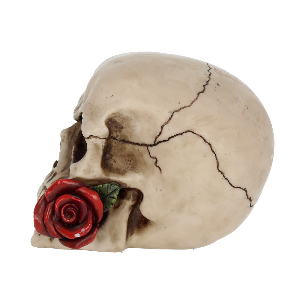 Nemesis Now NEM3721 Rose From the Dead Figur, 13,5 cm, Elfenbeinfarben