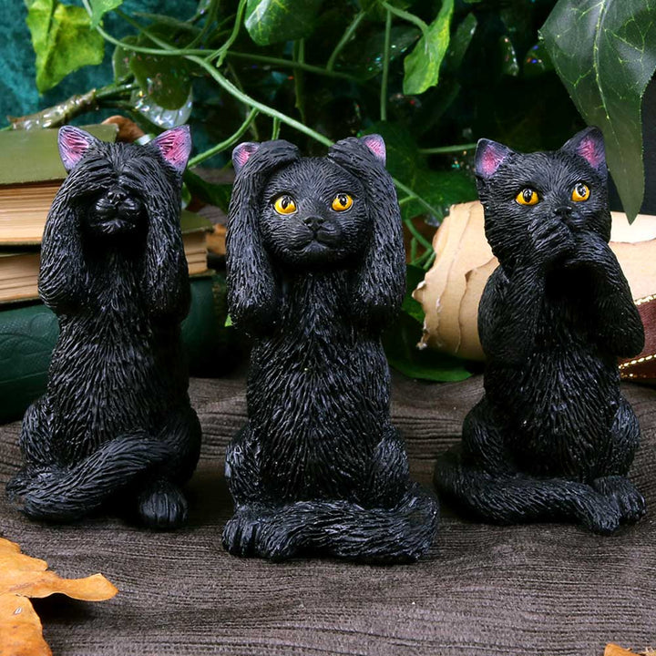 Nemesis Now Three Wise Felines 8.5cm, Black