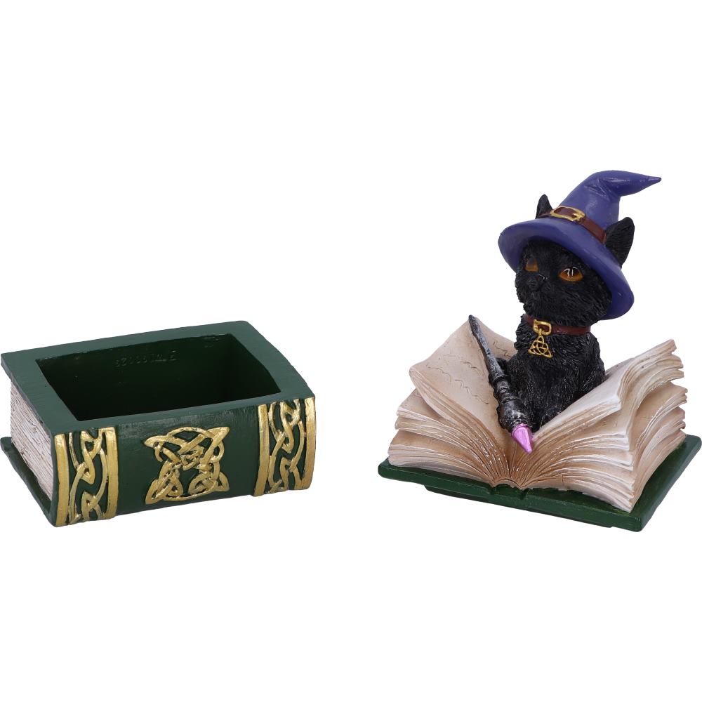 Nemesis Now Binx Small Witches Familiar Black Cat and Spellbook Figurine Box 11cm