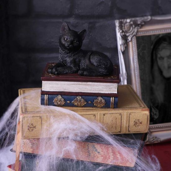 Nemesis Now Salems Spells Witches Familiar Black Cat and Spellbook Box, 11.7cm